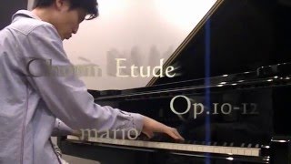 mario plays Chopin Etude Op.10-12（Revolutionary）