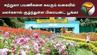 சுற்றுலா பயணிகளை கவரும் வகையில் மலர்களால் சூழ்ந்துள்ள பிரையன்ட் பூங்கா | BryantPark | Kodaikanal