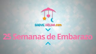 Bebé - 25 Semanas de Embarazo | Signos y síntomas del embarazo