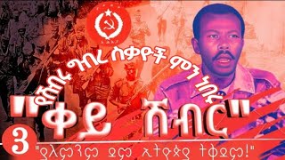 🛑የቀይ ሽብር  ስቃዮች ምን ነበሩ❗ደርግ ኢህአፓ/  Episode 3 Red Terror In  Ethiopia  key sheber history Mengstu /Derg