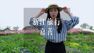 我们在浙江嘉善发现了一个宝藏地：大云 #在这遇见紫色花海 #私藏度假地