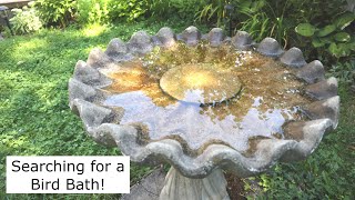 Buying My First Concrete Bird Bath!