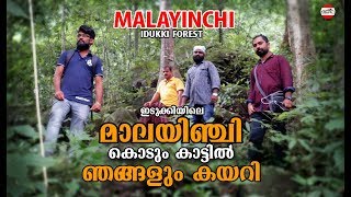 Malayinchi Forest Idukki ഇടുക്കിയിലെ ഇൗ കാടിനെപ്പറ്റി ആദ്യമായിട്ടായിരിക്കും നിങ്ങൾ അറിയുന്നത്