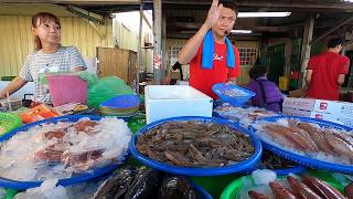 土魠魚尾超甜超好吃 第二份竟然整盤只要100 沒天理啊 興達港王中皇 泰國美魔女 興達港謝忻 高雄興達港 海鮮叫賣 叫賣哥