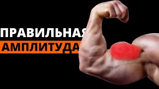 ЧАСТИЧНАЯ или ПОЛНАЯ АМПЛИТУДА для Мощных Рук