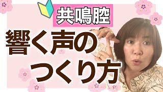 共鳴腔を利用して声を響かせる方法を解説・実践ボイトレ