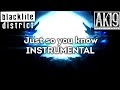 Just so you know - INSTRUMENTAL - Blacklite District