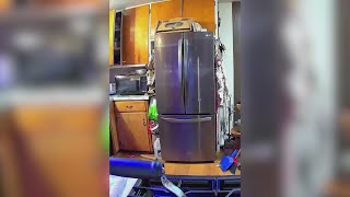 Refrigerator shakes, woman screams during 4.6 earthquake near epicenter
