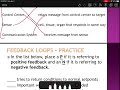 homeostasis part 1 feedback loops voice recorded