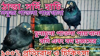 কবুতর এর ঠান্ডা, সর্দি, হাচি, সবুজ এবং সাদা চুনাচুনা পাতলা পায়খানা, বমি, বদ হজমের চিকিৎসা ও প্রতিরোধ