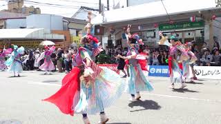 ダイヤモンドダイニングよさこいチーム　高知よさこい祭り2019升形2日目