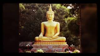 ศิษหลวงปู่ชา สุภัทโท วัดป่าพิทักษ์ธรรม (หนองป่าพงสาขา67)Title