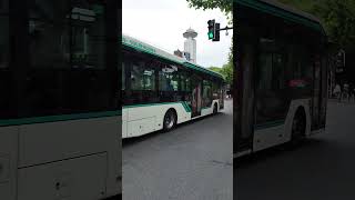 上海公交車 Shanghai Bus #shanghai #bus