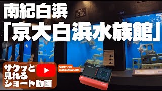 南紀白浜「京大白浜水族館」