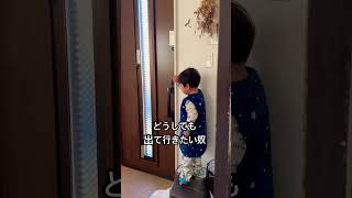 二歳児の脱走を引き止める柴犬#shorts