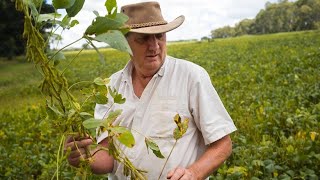 Shiwa Ngandu: Landwirtschaft im Garten Eden