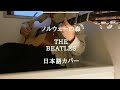 (日本語カバー)ノルウェーの森 Norwegian Wood　 THE BEATLES