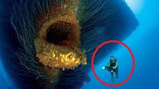 Deep Sea Mysteries