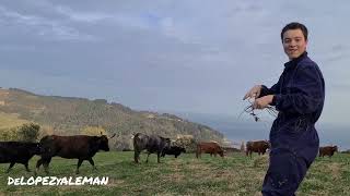 Un uno de diciembre en la campa Mote de la Ganadería Marqués de Saka - 1-12-2024