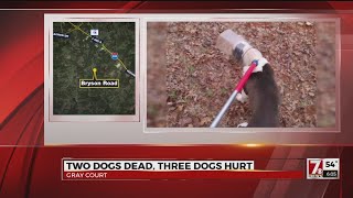 2 chained dogs dead, 3 being starved in Laurens Co.