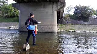 京都鴨川でのハエ釣りです♪