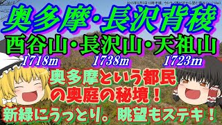 【酉谷山・長沢山・天祖山】“奥多摩”にあって、奥ゆかしい秘峰群“長沢三山”を紹介。