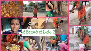 పల్లెటూరి వాళ్ళ morning ఇలా నే మొదలవుతుంది/morning లేగిస్తే గాని పని అవ్వదు/Village natural vlogs.