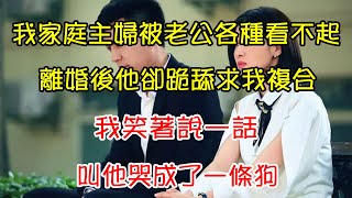 我家庭主婦被老公各種看不起，離婚後他卻跪舔求我複合，我笑著說一話，叫他哭成了一條狗｜翠花的秘密