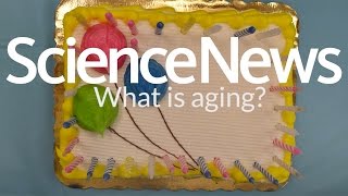 What is aging? | Science News