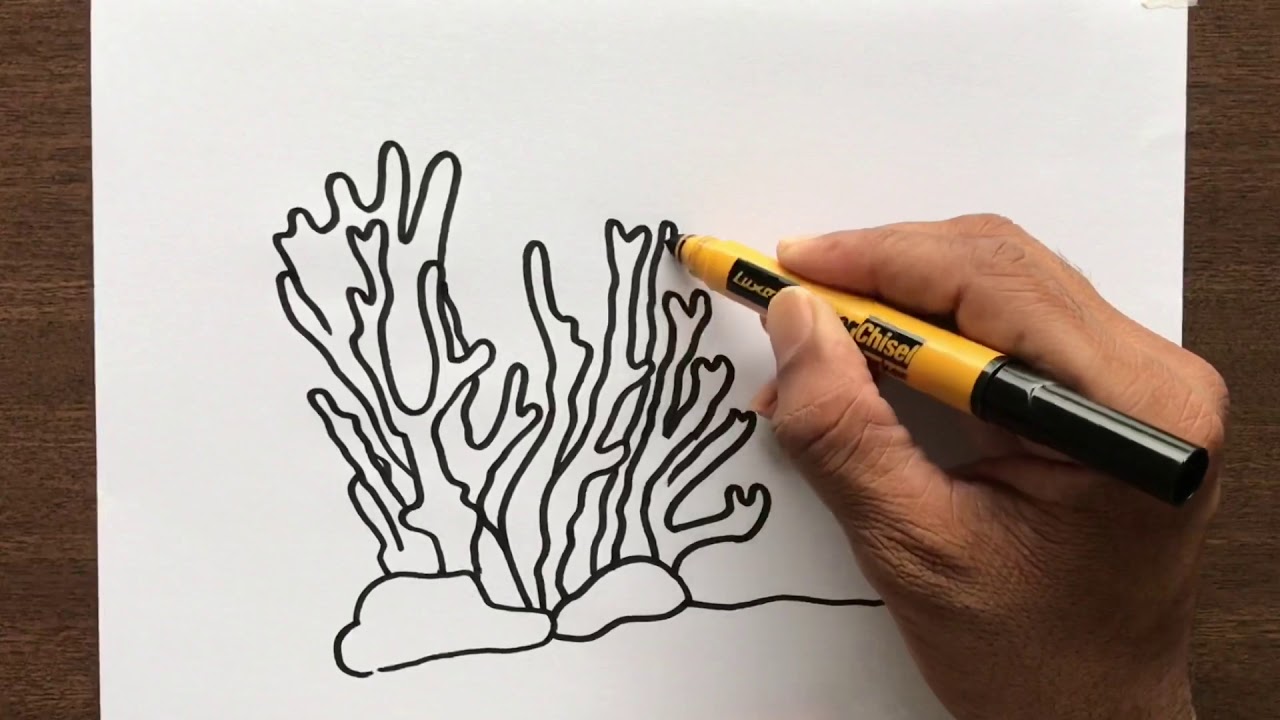 How To Draw Coral - YouTube