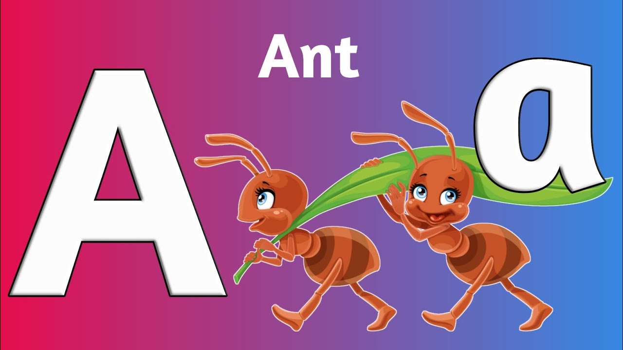 A For Ant | B For Bat | English Barnamala | Alphabet | ABCD | ইংরেজি ...