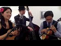 winter wonderland cynthia lin ukulele cozychristmas