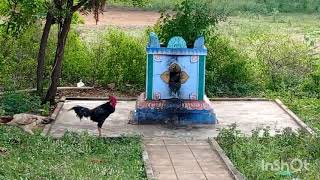 B N kandriga prasanna venkateswara swami temple 🙏