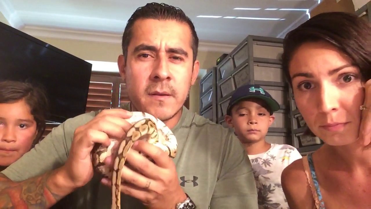 Live Auction Youtube