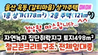 (2304*23) 🙆 옥동 갈티마을 상가주택 매매 🥎합12억원🥎 집단취락지구●