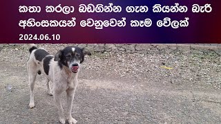 අසනීප බව්වන් කිහිප දෙනෙක්ටම ප්‍රතිකාර කරන අතරේ මේ අහිංසකයන්ගේ බඩගින්න නිවන්නත් අමතක කළේ නැහැ