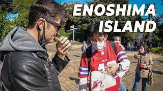 Day trip from Tokyo, Enoshima and Kamakura | Japan Travel | 江の島 Ep.1