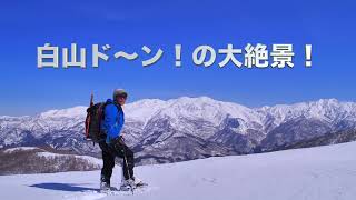 白山の大絶景を楽しめた取立山〜鉢伏山ショートバージョン