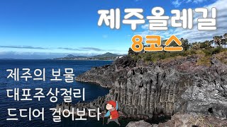 제주올레길 8코스 | 제주의 천연기념물들과 생태자원의 보고