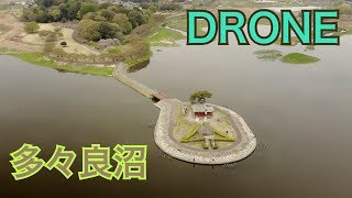 多々良沼でドローンを使って空撮しました。Aerial view with drone.