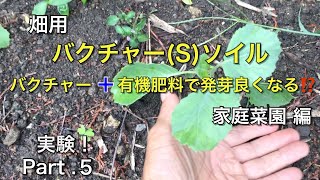 【実験】バクチャーSを入れた畝、入れない畝で「発芽\u0026生育」状況に差が出る⁉︎ 家庭菜園に使えるのか実験！Part.５