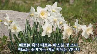 봄꽃의 향연