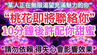 💜 吸引 愛情 冥想 【只需安靜聽它 桃花即將聯絡你】10分鐘後許配你甜蜜💜這是神奇心輪調頻！收回恐懼 停止過度思考 雙生火焰 顯化愛情 能量已注入（含所有吸引愛情細節⋯無第三方、無視距離、3D因素）