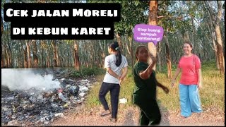 SIDAK SAMPAH‼️❌ CEK KEADAAN AREA MORELLI KEBUN KARET #sidak