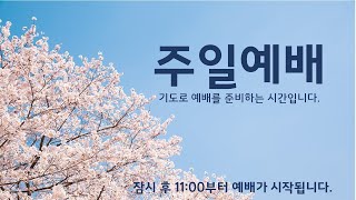 2022년 추수감사 찬양축제 테스트영상 3