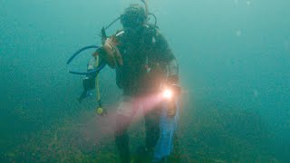 Scuba潜水 打鱼 抓龙虾 螃蟹 年夜饭食材Scuba Diving Spearfishing Banded Morwong Catch Crayfish Southern Rock Lobster