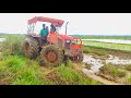 Kubota Mu 5502 Working Rotavator Deep Mud | New Kubota Tractor Working