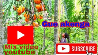 Gue akenga🤣🤣funny video