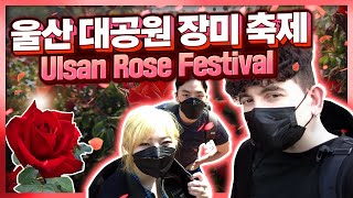 울산대공원 장미축제 갔다왔어!! 친구들끼리 데이트..♥ I went to a romantic Rose Festival with my friends ♥