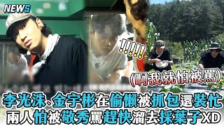 【李光洙】、金宇彬在偷懶被抓包還裝忙 兩人怕被敬秀罵趕快溜去採葉子XD